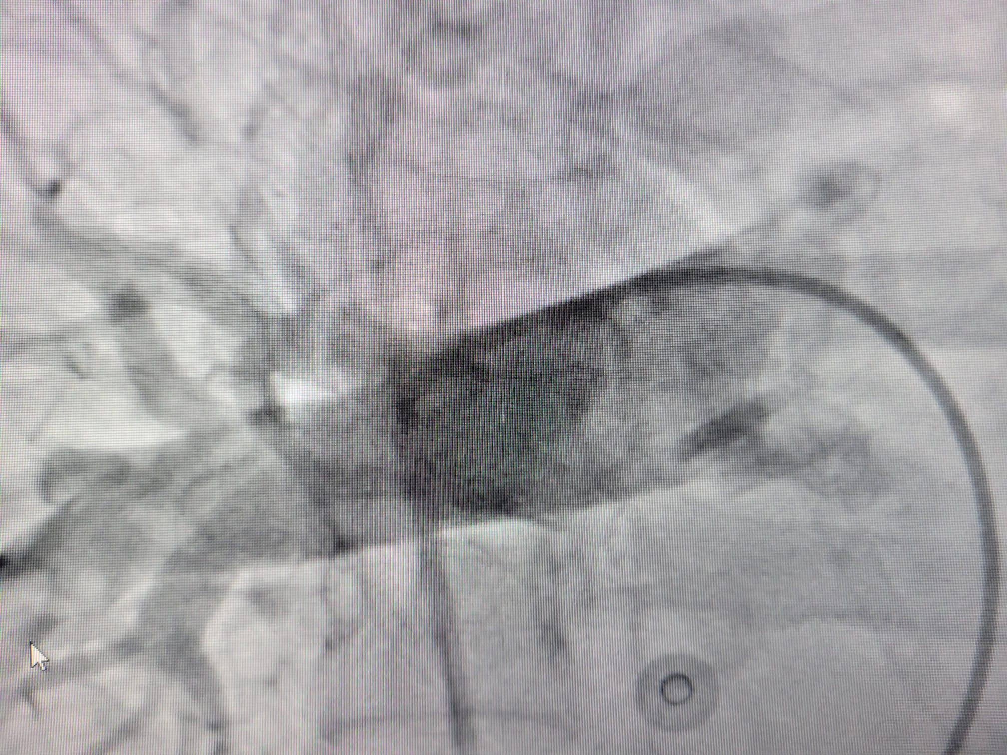 WhatsApp Image 2022-09-17 at 13