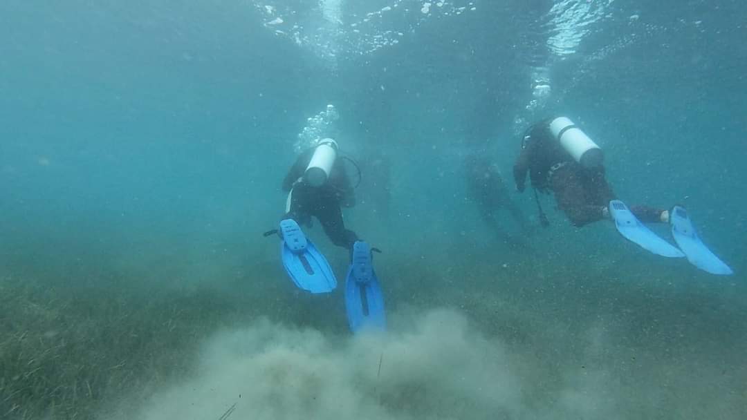 FB_IMG_1664868038937