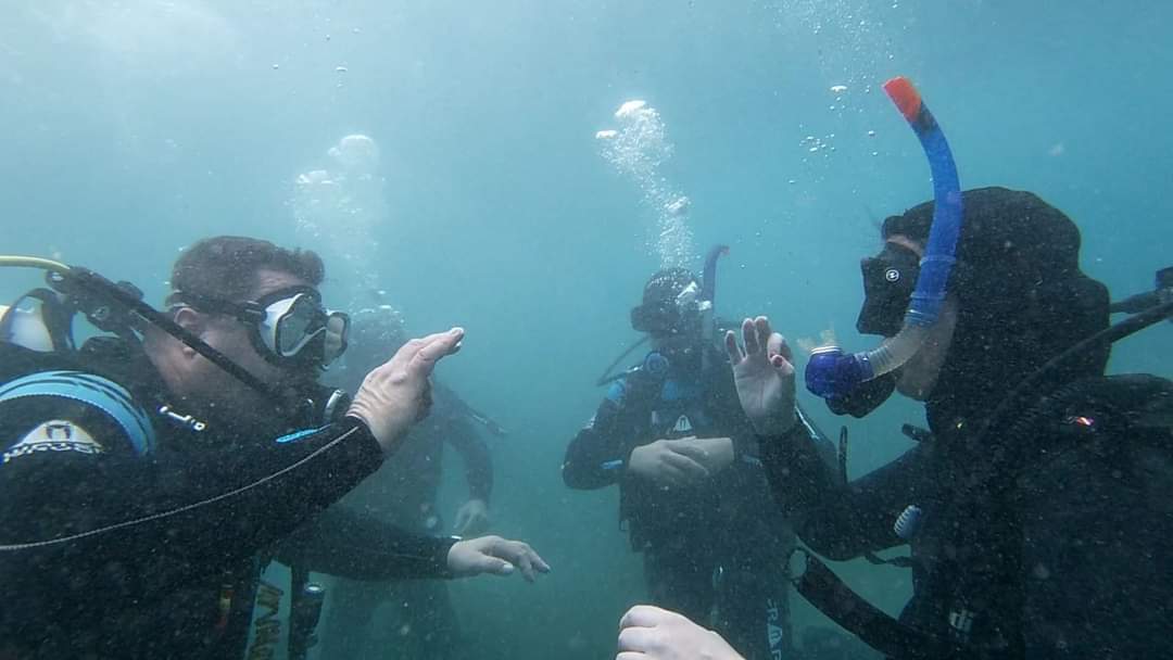 FB_IMG_1664868050673