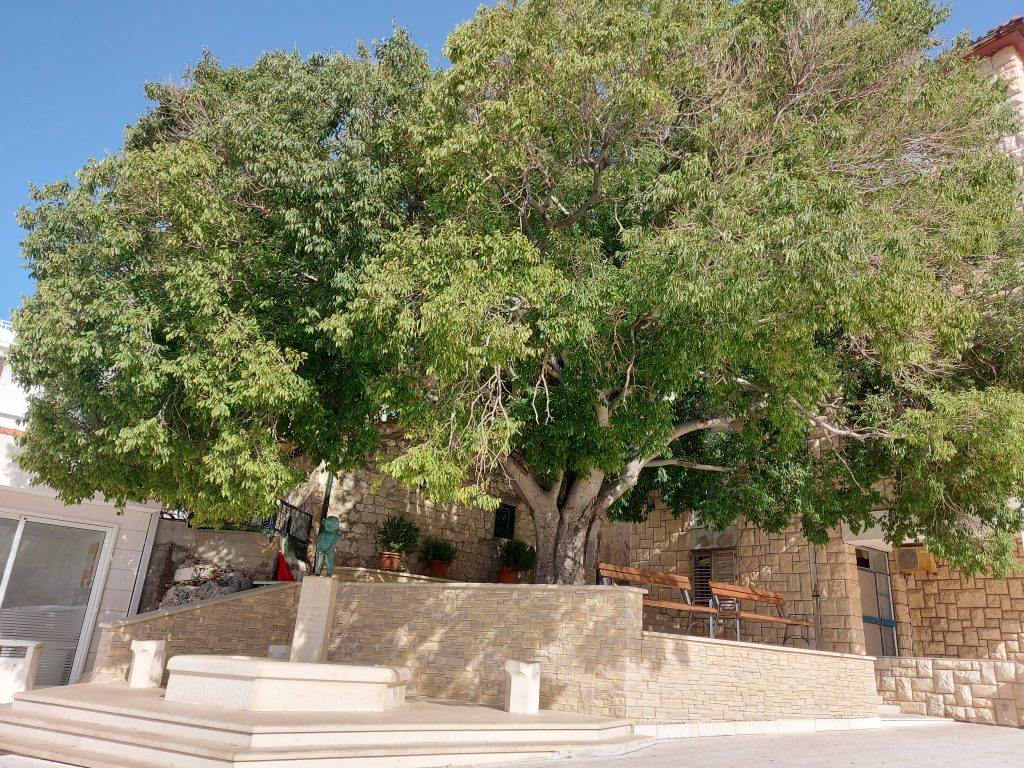 Koscela_Gradac_autor_Tihi-Bilas-3