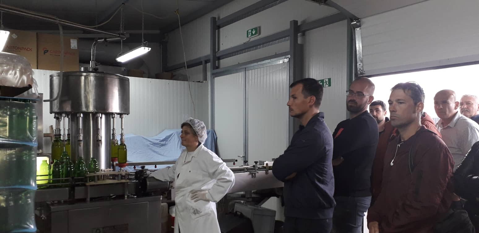 313112740_3327167510863418_1844105205821558069_n