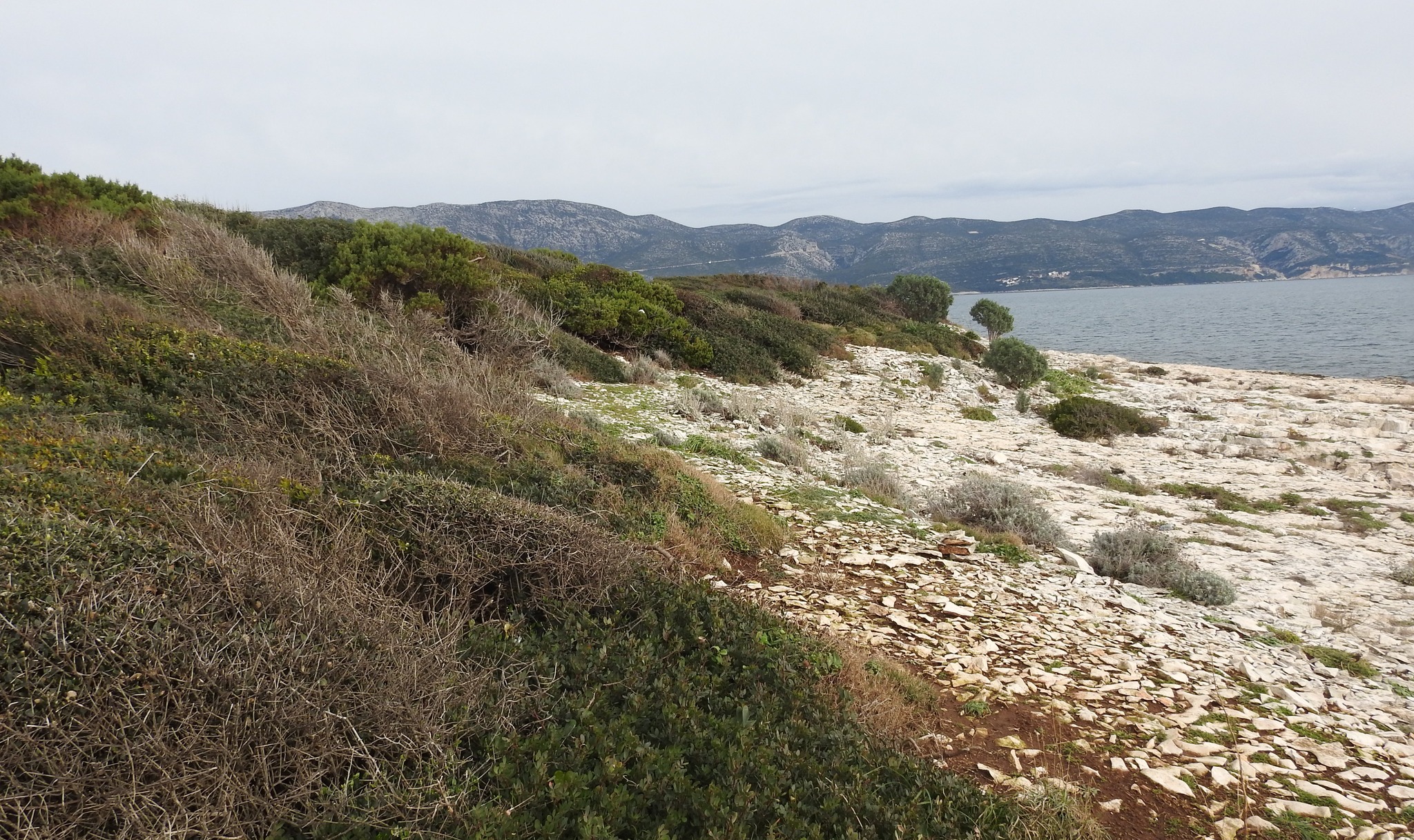 327005159_717328770049022_702324037464354210_n