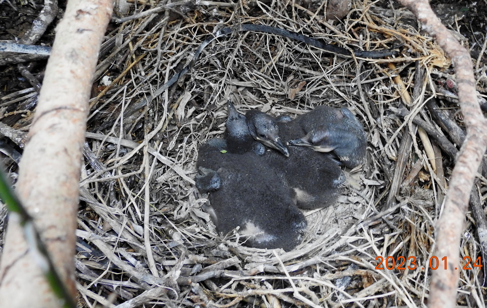 327732327_703552764835061_2036160362678479085_n