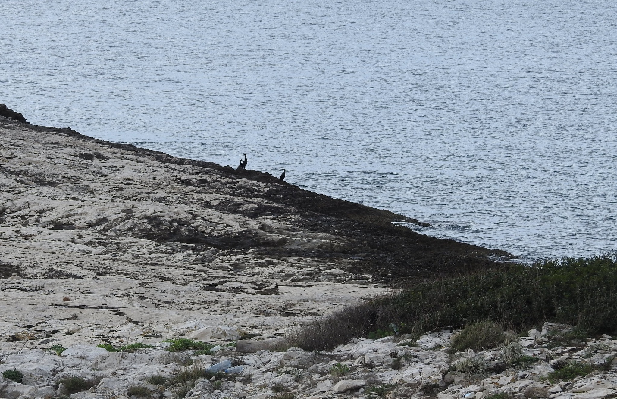 327911602_876967643546845_6678070365614738547_n