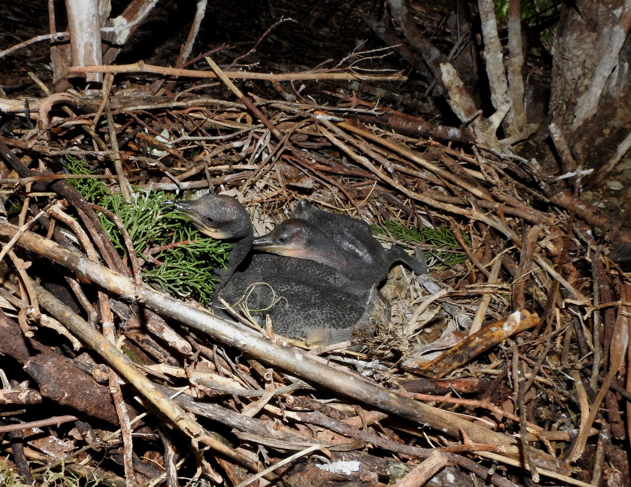 327985712_2087116324831718_3289748668584557086_n