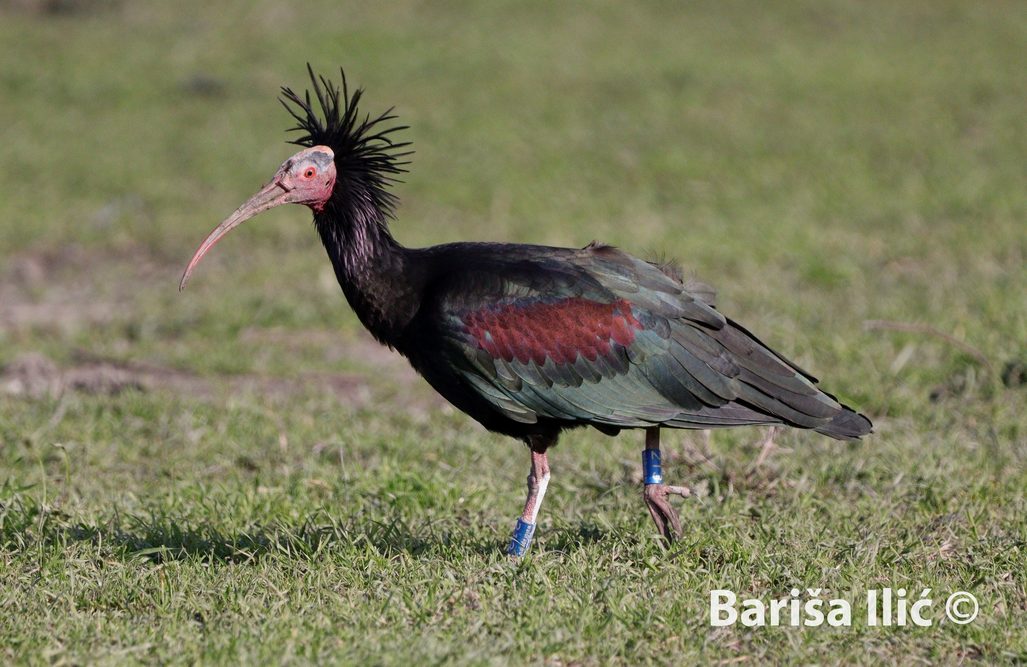 328313252_529757879259788_3360477266838730360_n