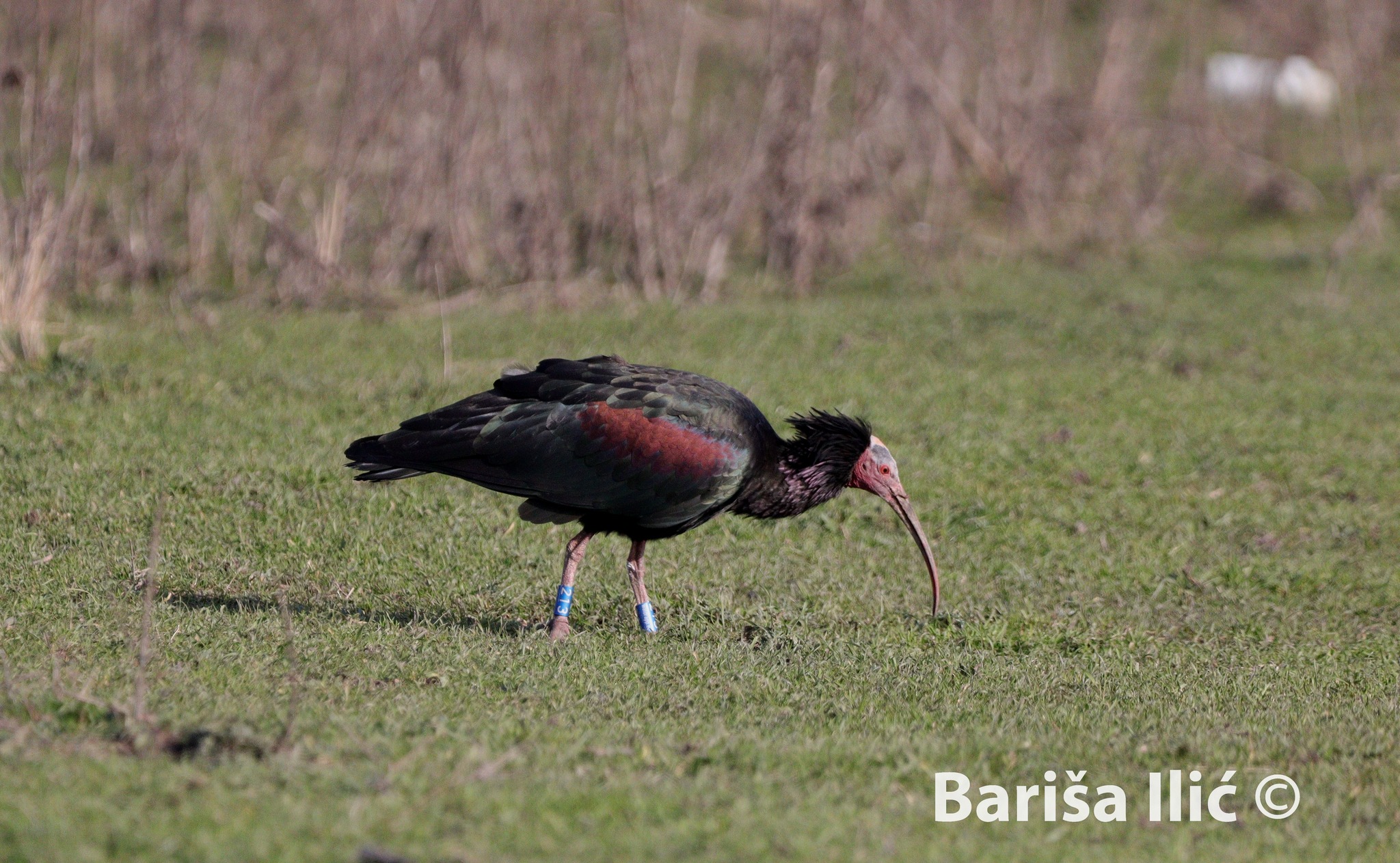 328340471_5709312565832212_2639426667206173248_n