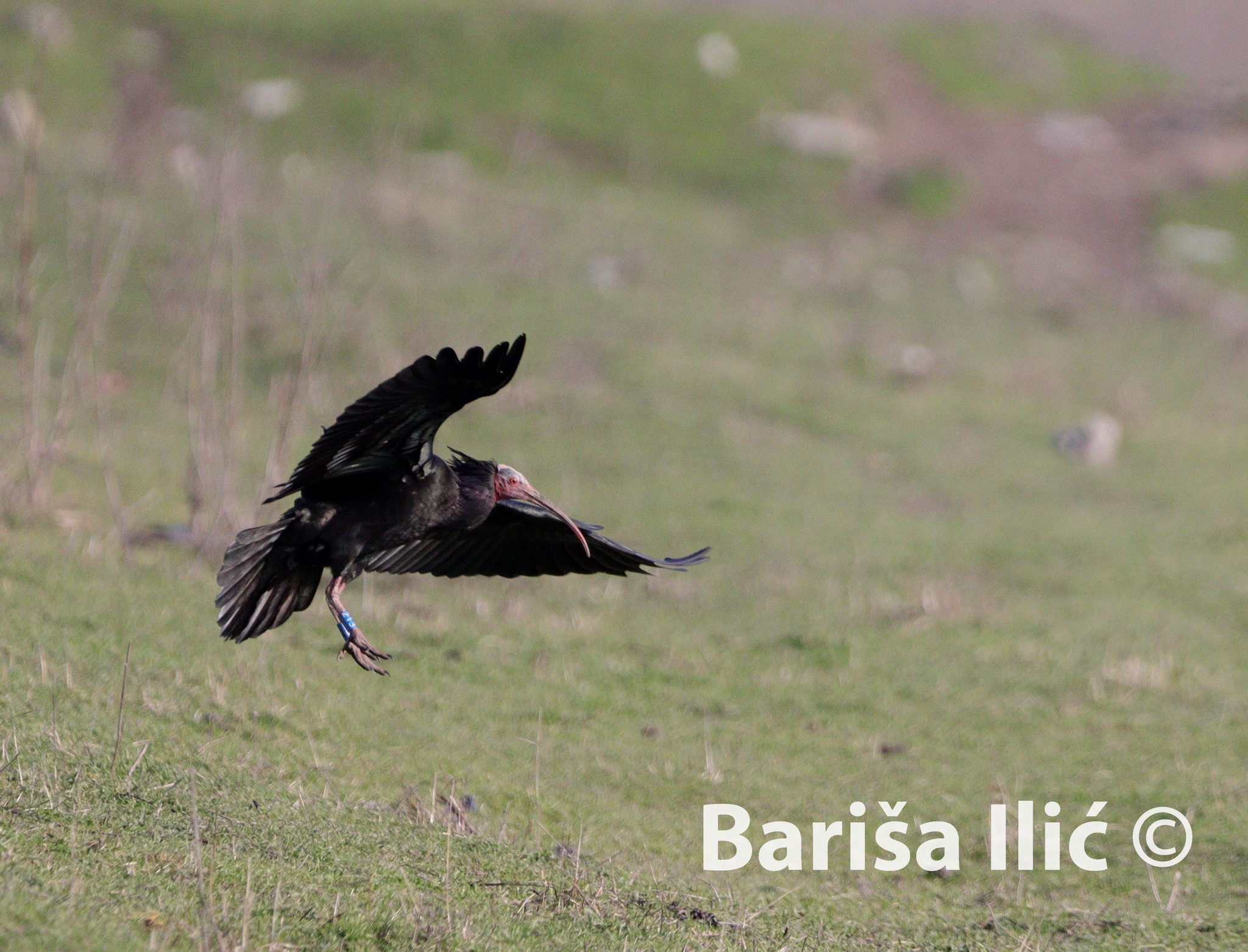 328478215_1395972471218903_5845730037789038414_n