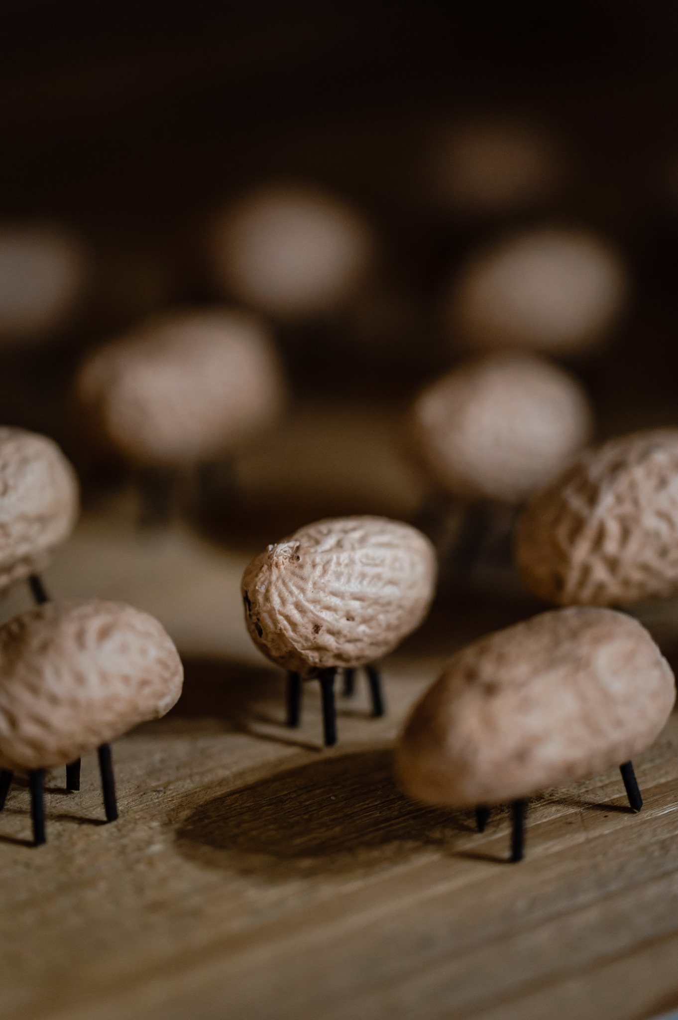 343300783_593499596068943_8059117641842763931_n