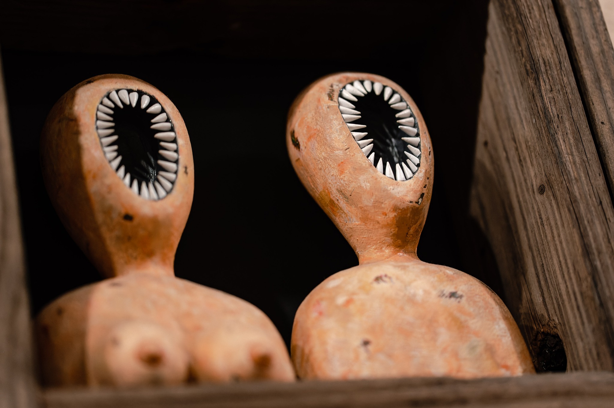 343503420_899225127830110_4061111954984866317_n