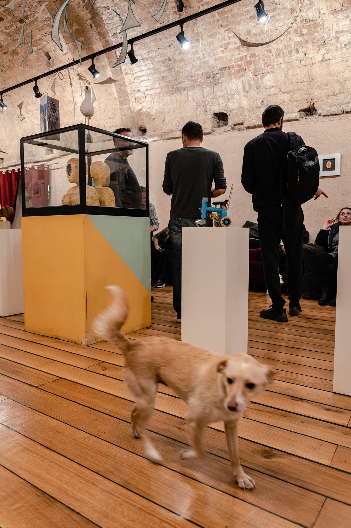 343826012_206642665452527_2368565516244506421_n