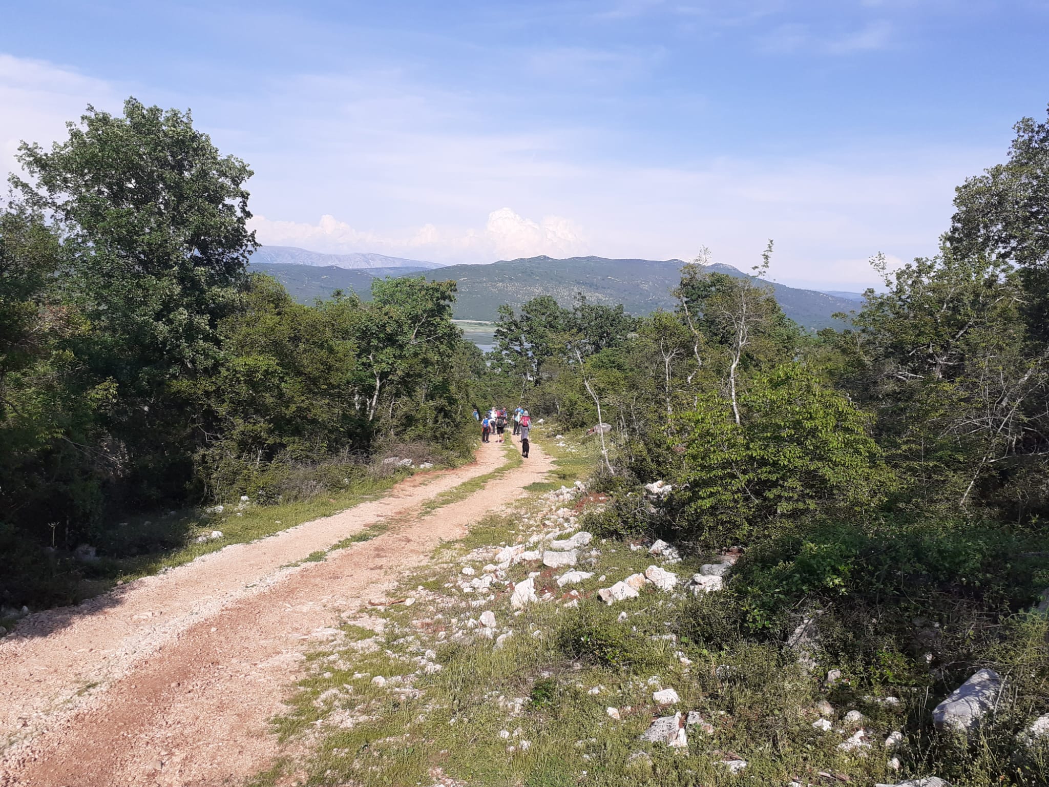 345442072_559829672717765_4075694430603240689_n