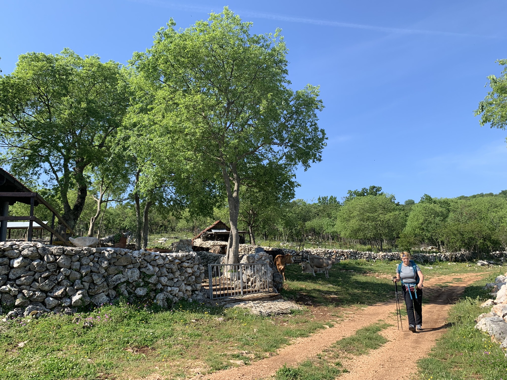 345444513_2153119794882226_4537133239185855461_n