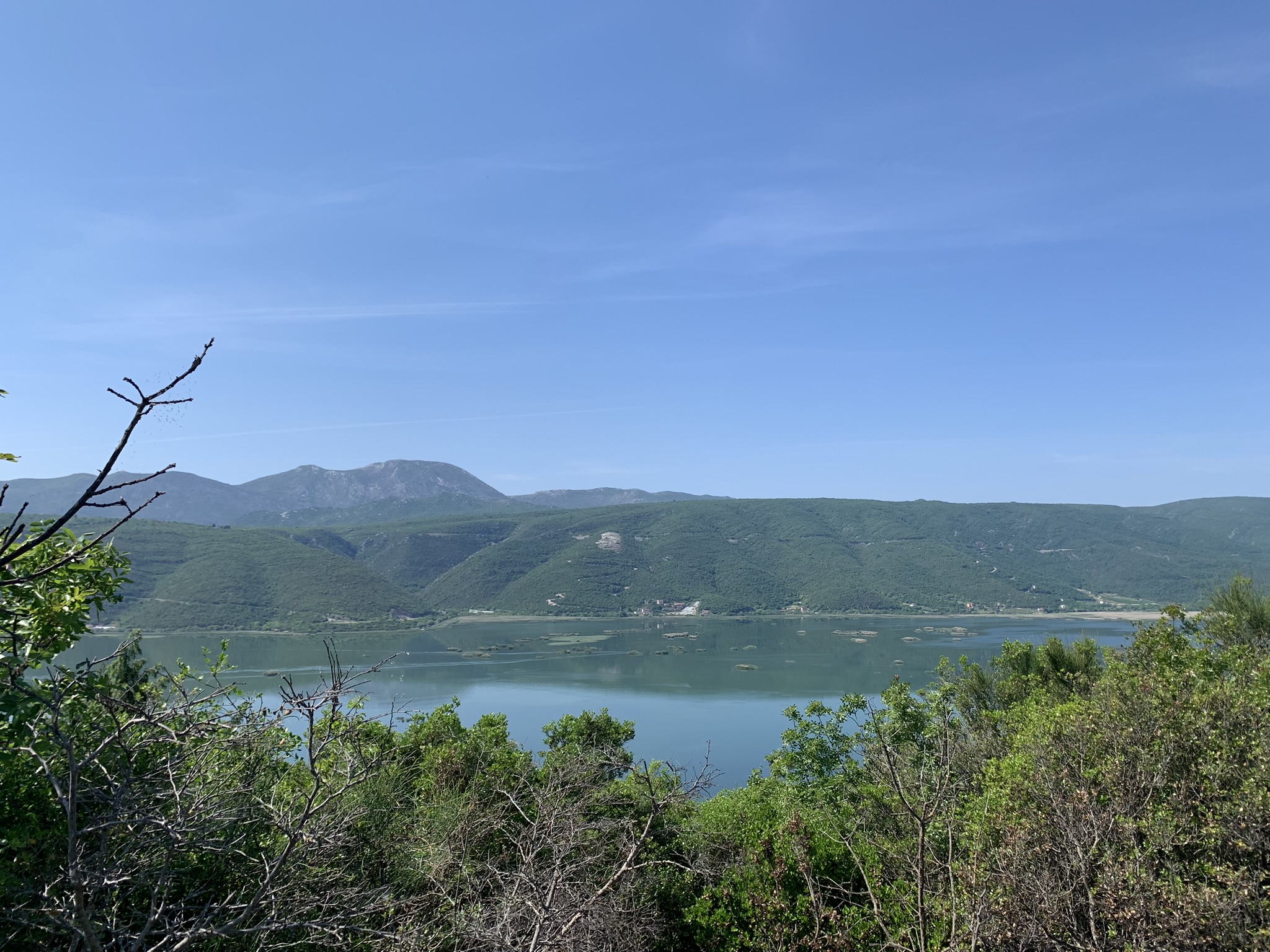 345444705_785618392972382_2508032350313666871_n