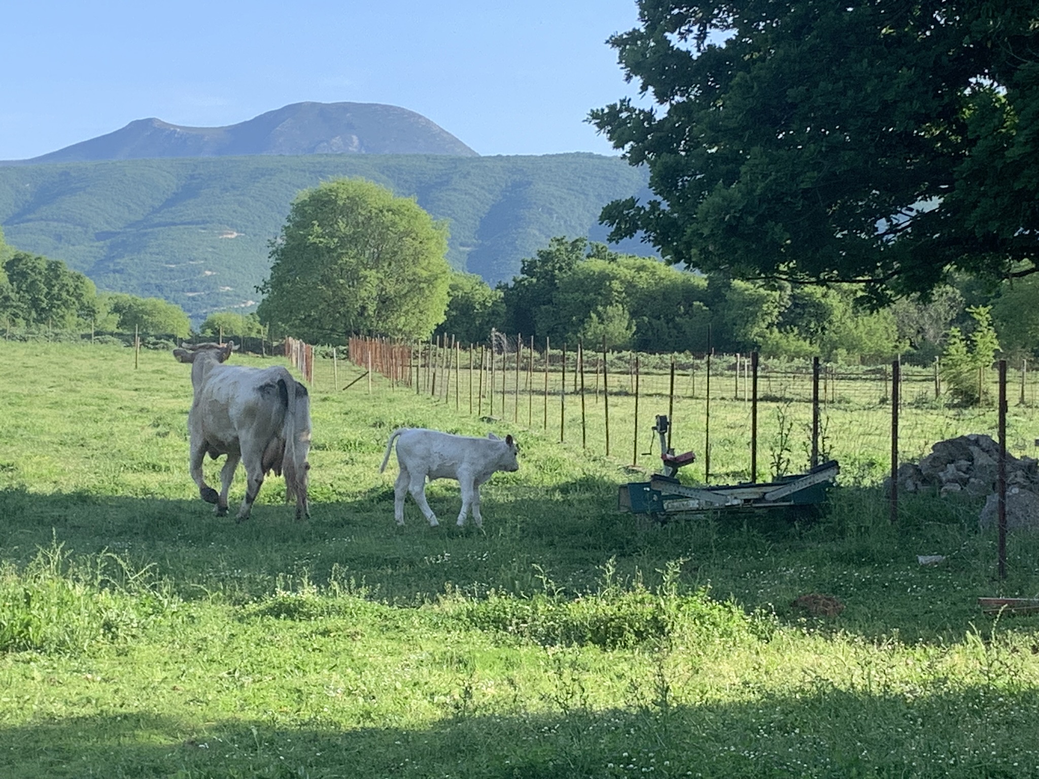 345446020_201197779458125_8969657237587427183_n