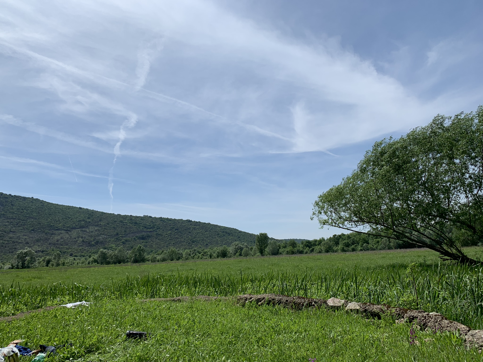 345447604_572734638040846_498288825437284555_n