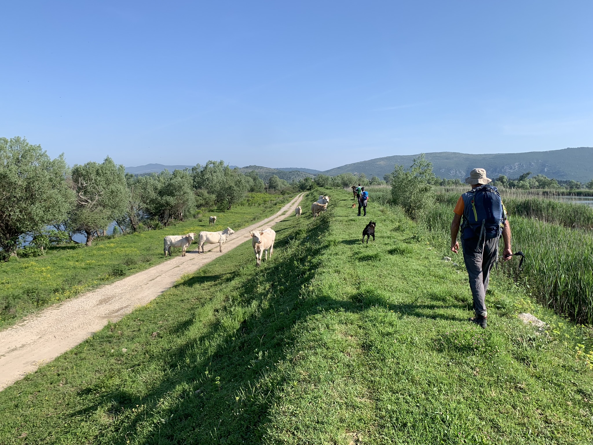 345449322_260554423018839_7399558913838177839_n