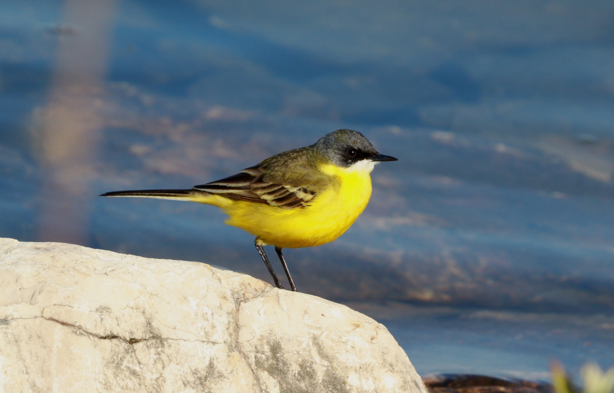 345469539_652160733402785_6540124572714274248_n