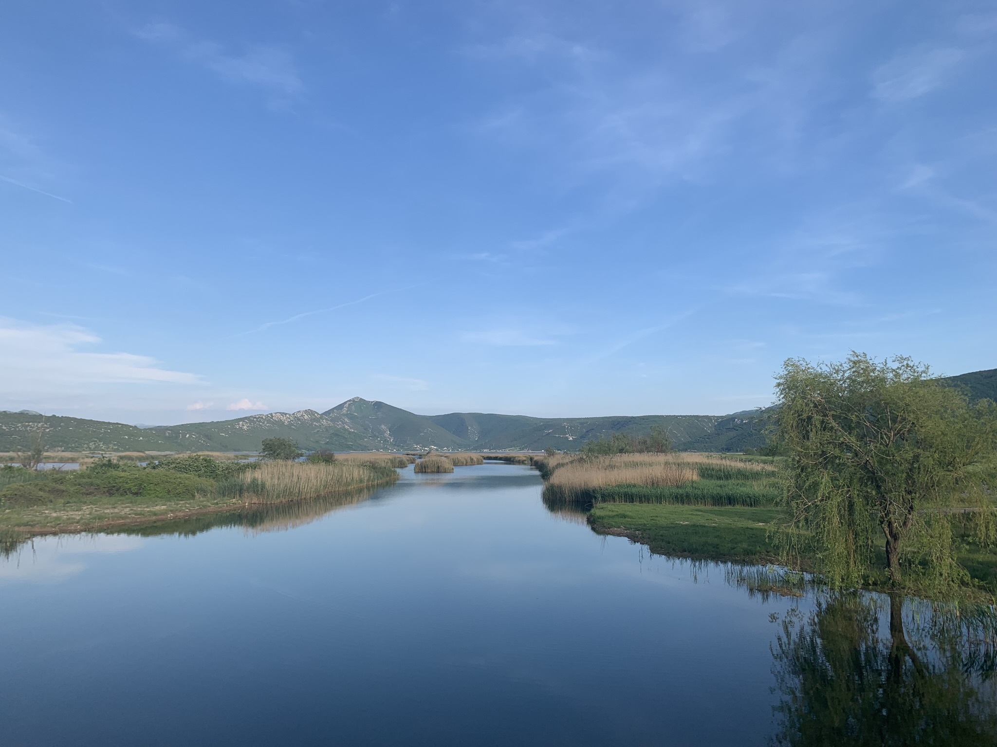 345563544_835154731368712_6394135120719000656_n