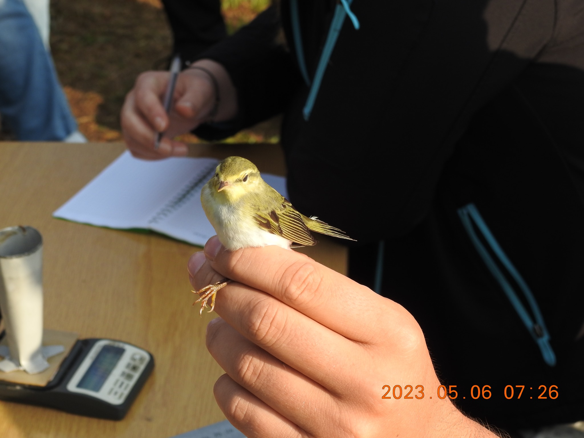 345577648_3303620983234261_7126748852195438269_n