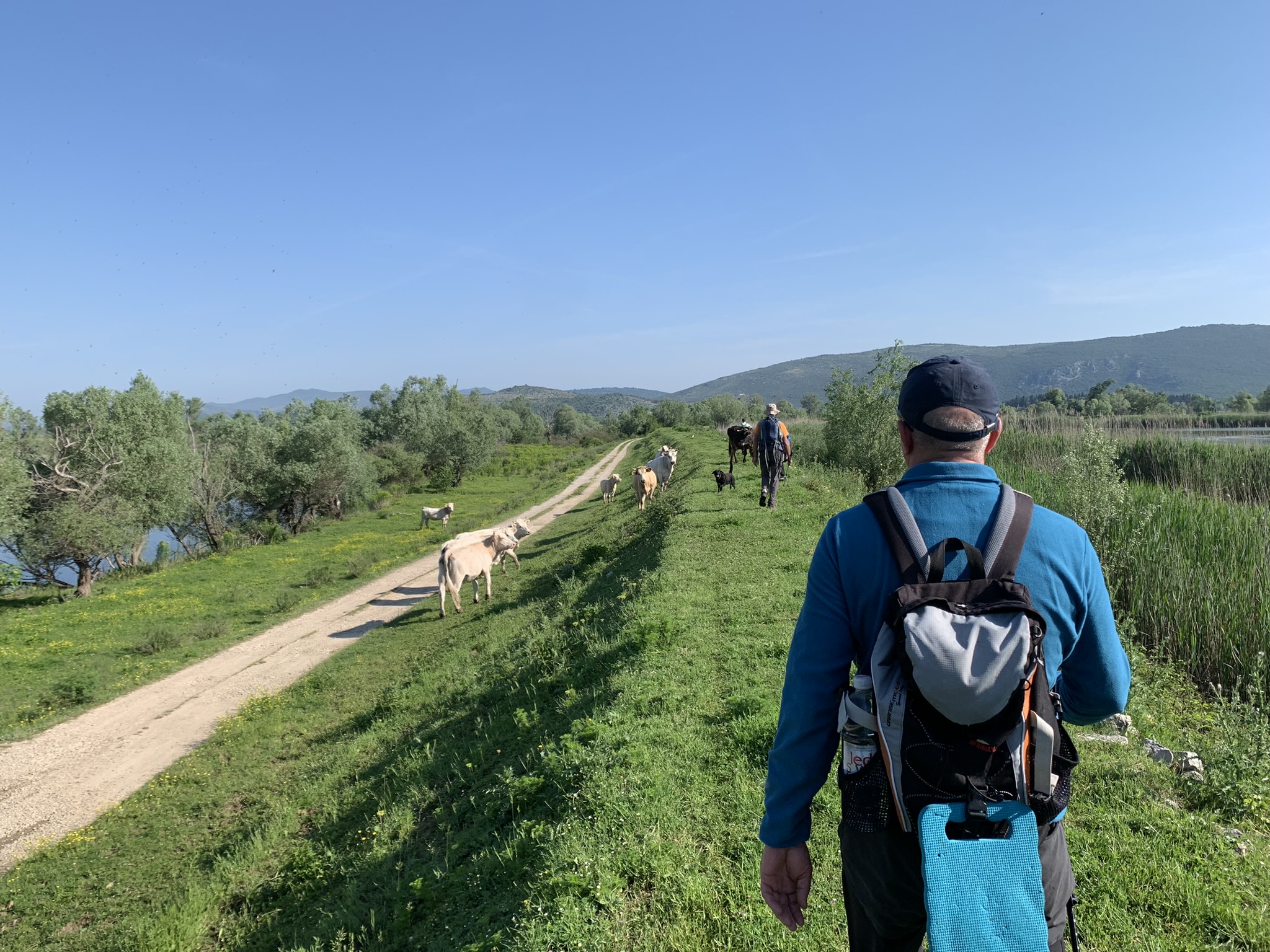 345600251_1867498053631263_1954259075524417537_n