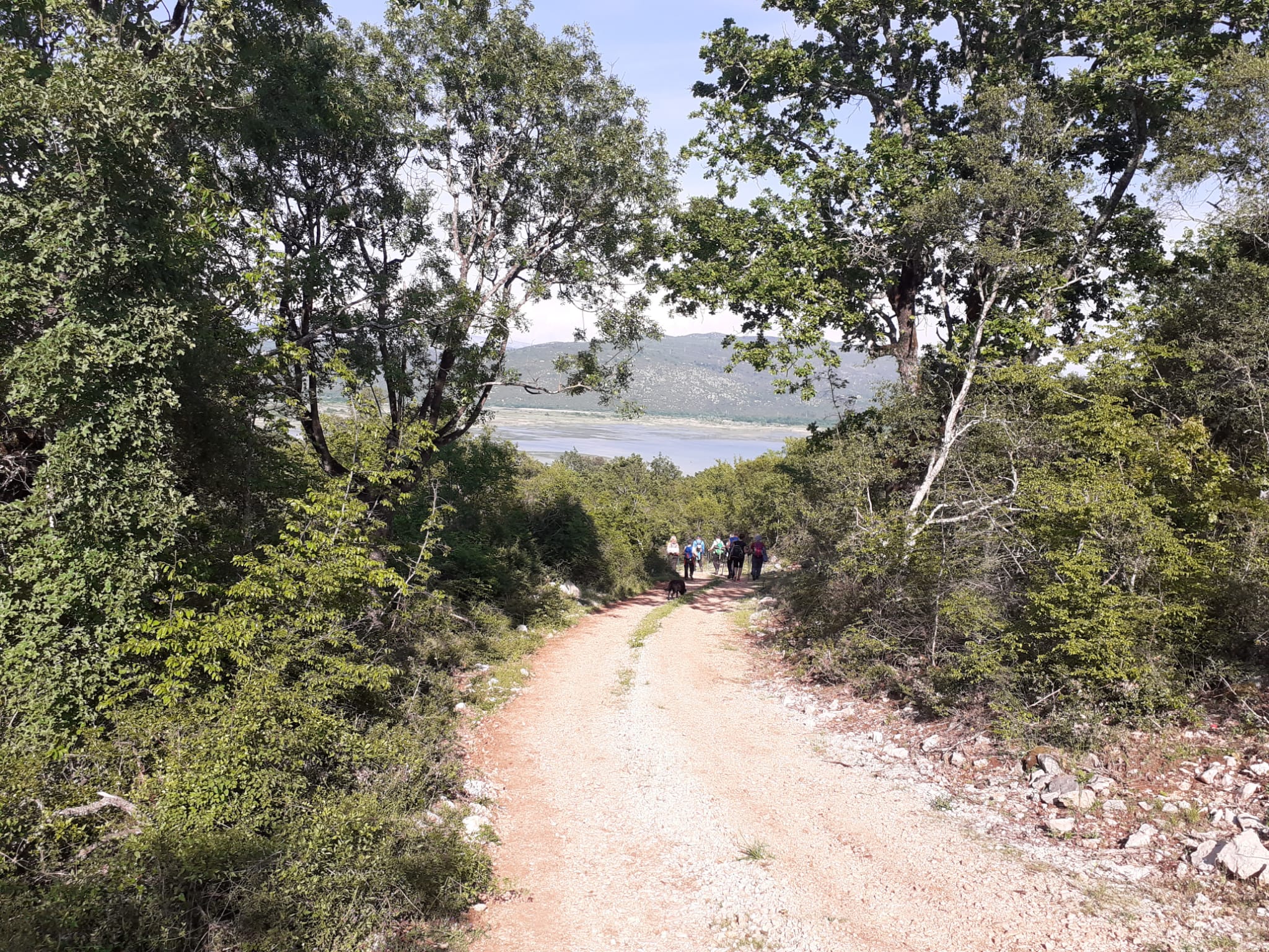 345624329_626556489340244_7267744693749375193_n