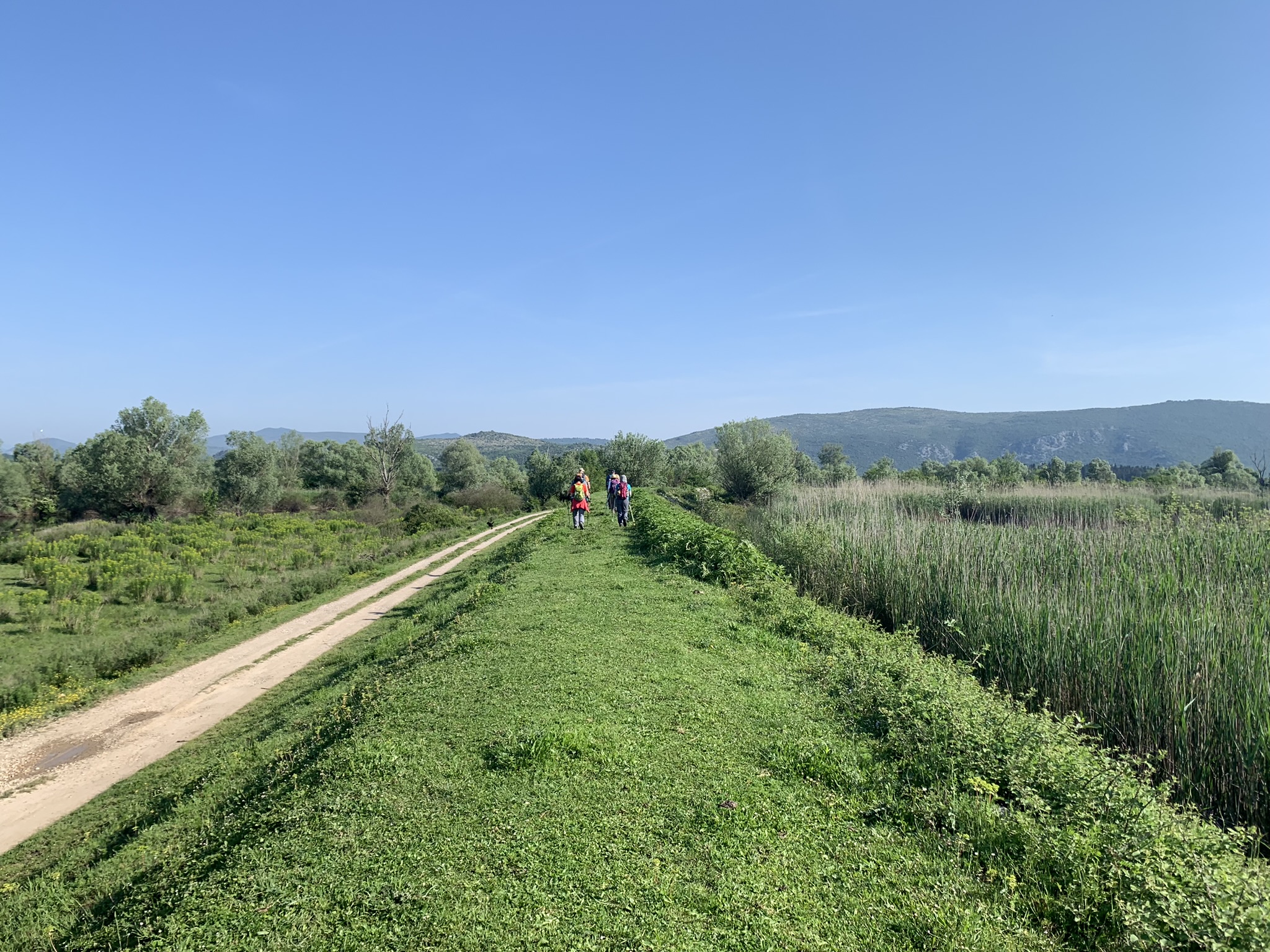 345664024_951982509563377_4800666840562123379_n