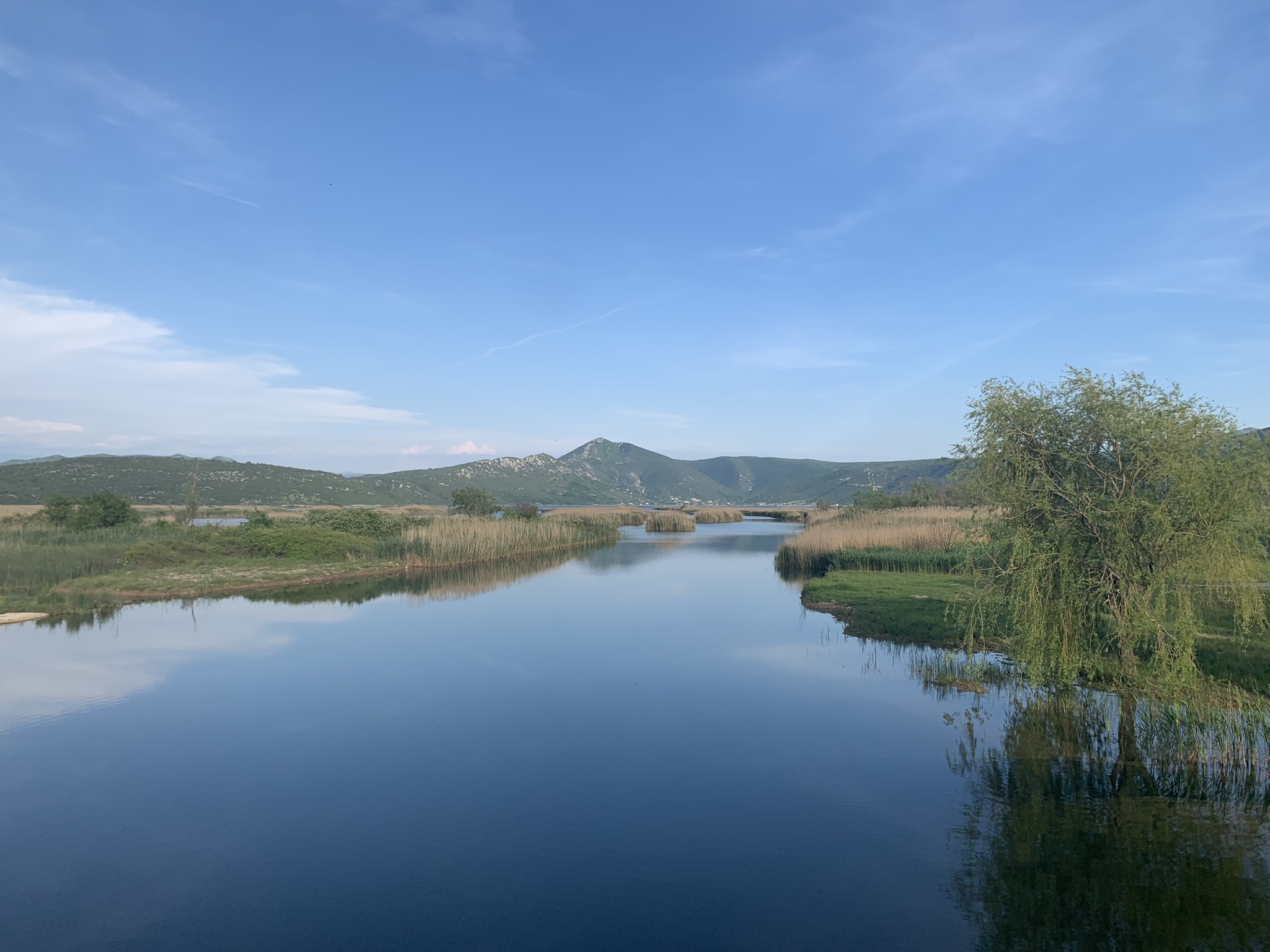 346024897_6270809106290622_1405199503019111907_n