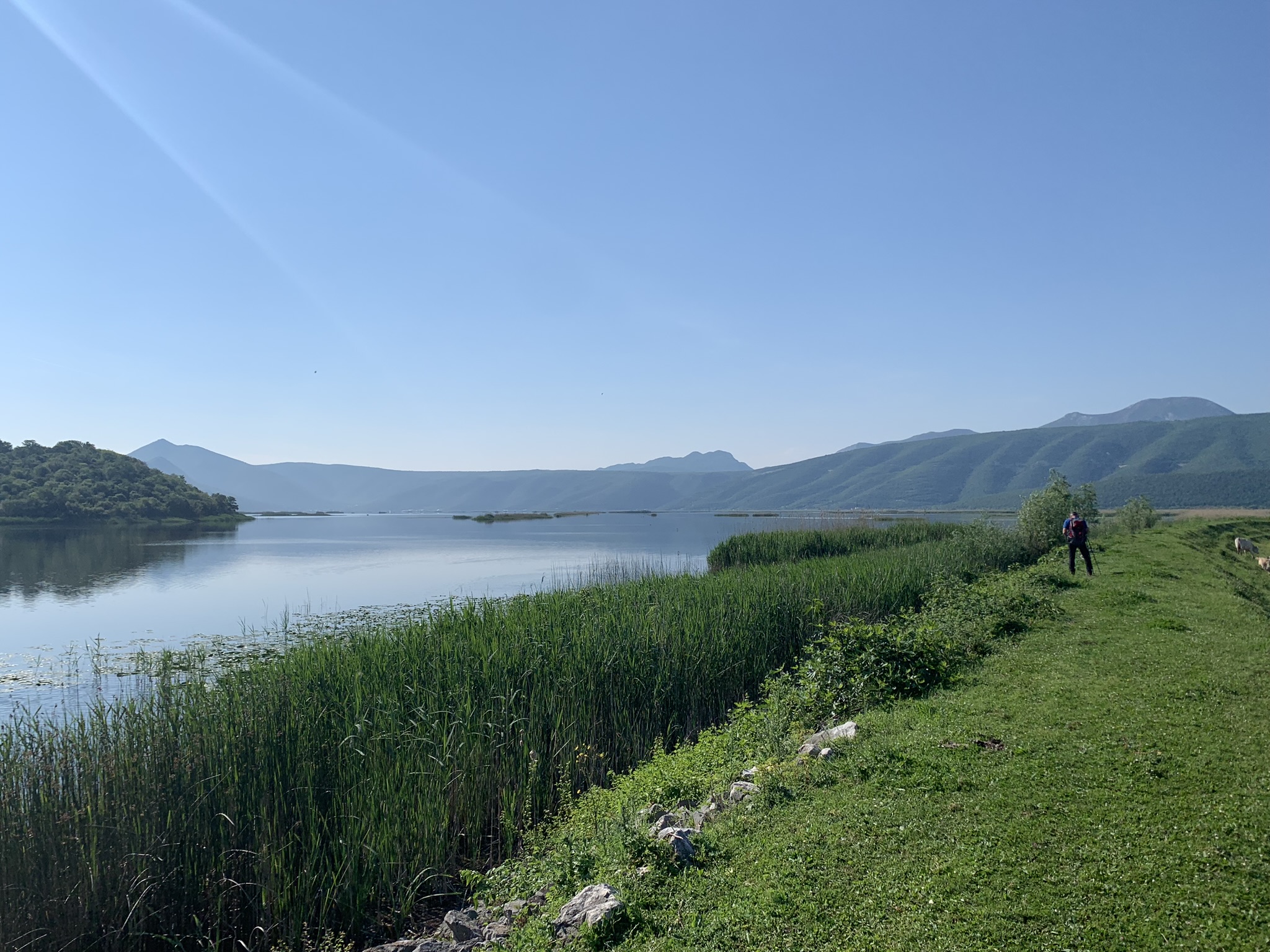 346081833_1967206006945724_3127841825138056583_n