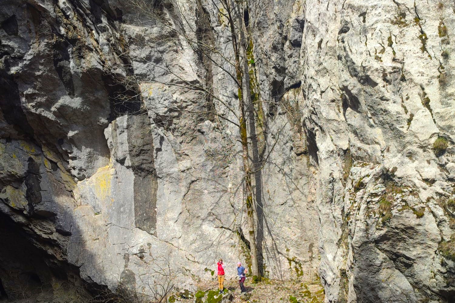 WhatsApp Slika 2023-05-04 u 10