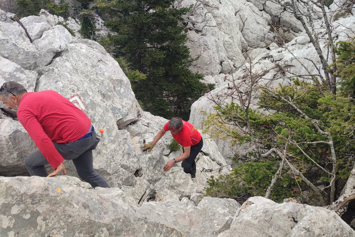 WhatsApp Slika 2023-05-04 u 10