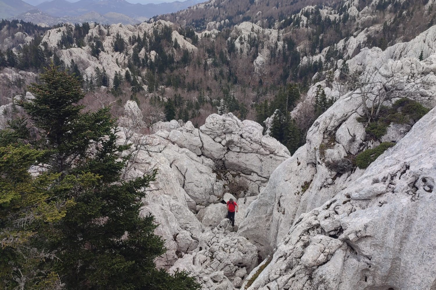 WhatsApp Slika 2023-05-04 u 10