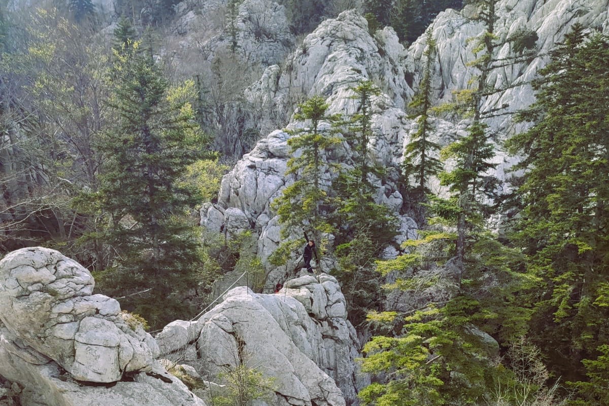 WhatsApp Slika 2023-05-04 u 10