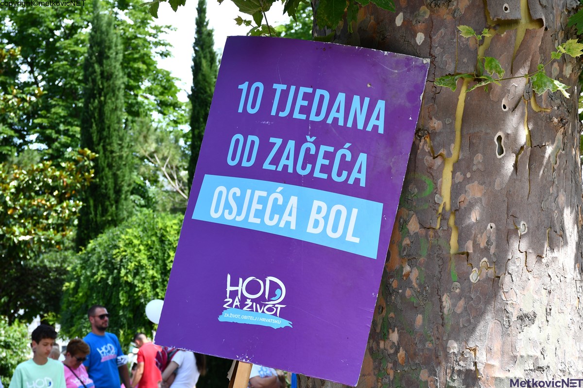 DSC_1437