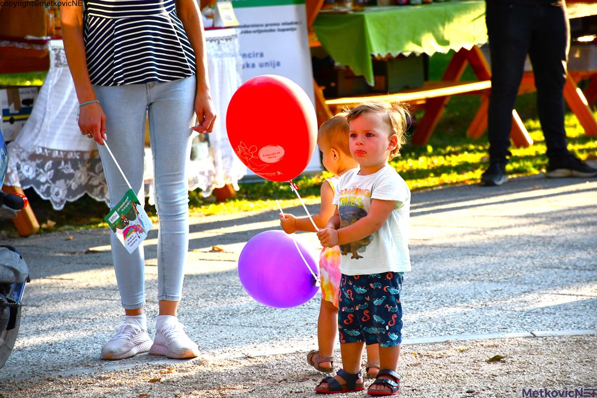 DSC_6419