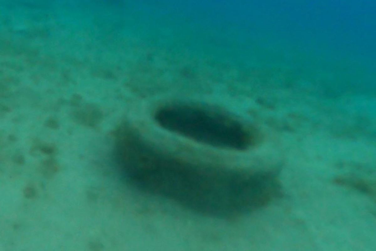 eko patrola 7