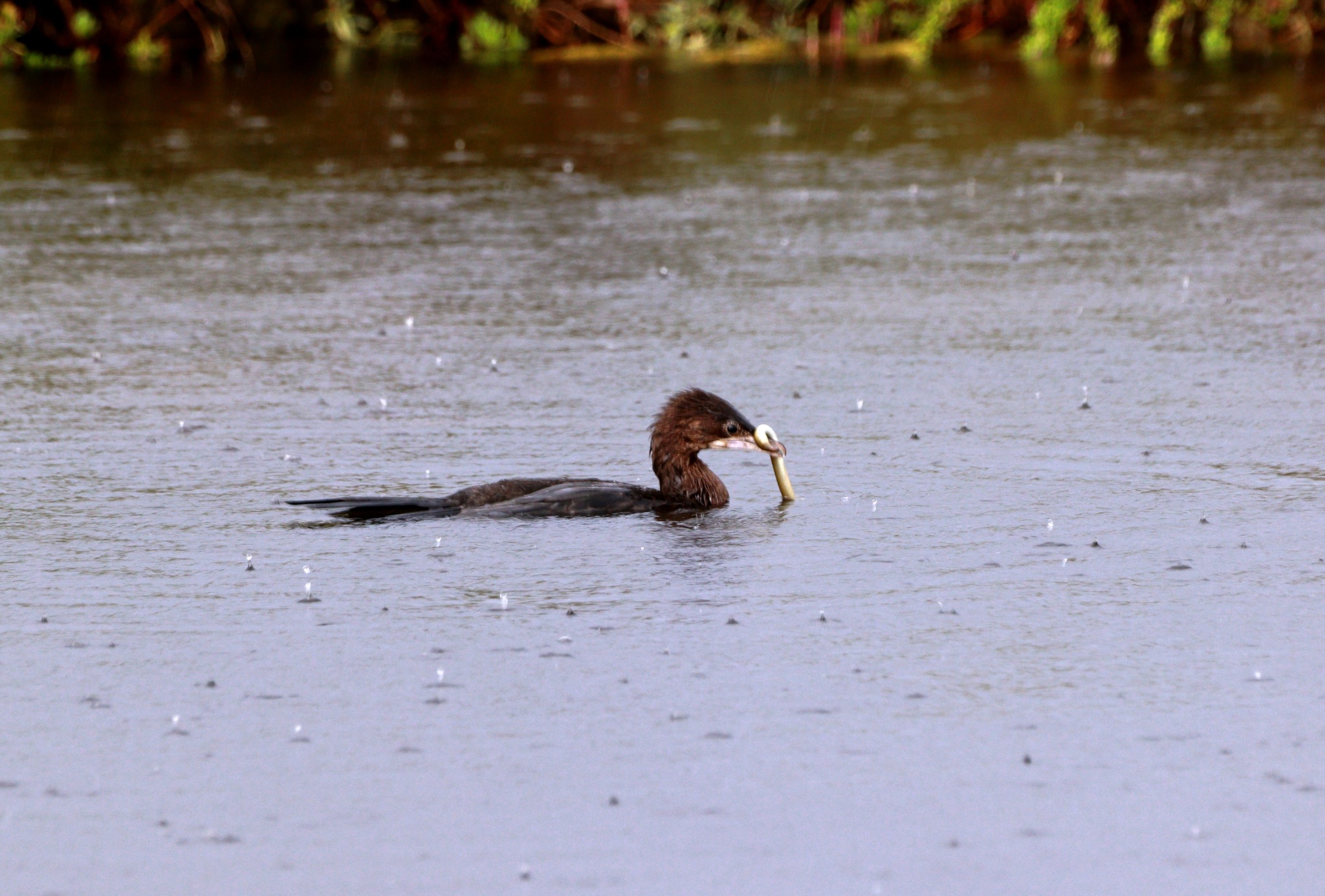 381086606_653571836920618_522227671367235978_n