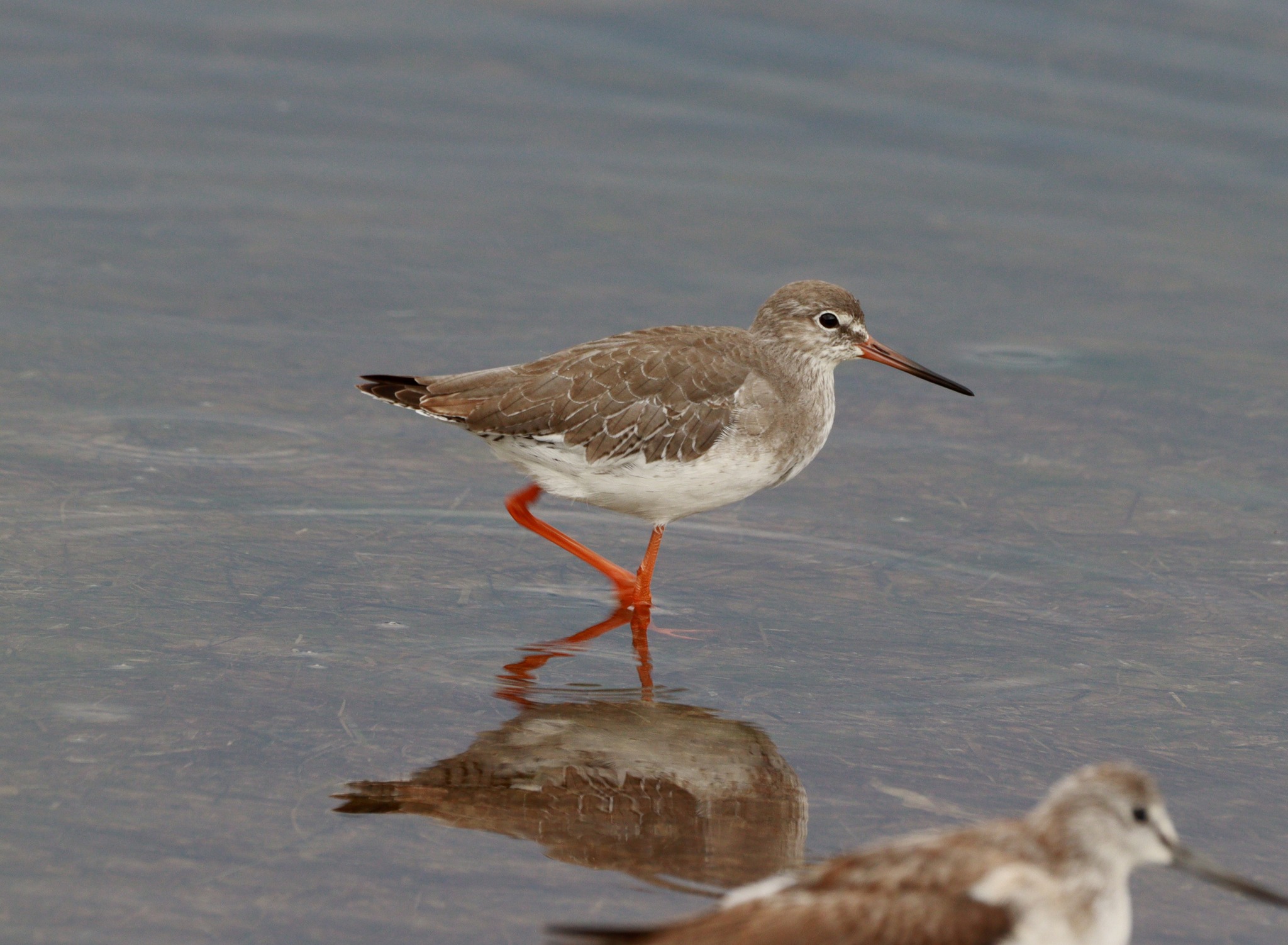 382716447_653573140253821_3469557372327571868_n