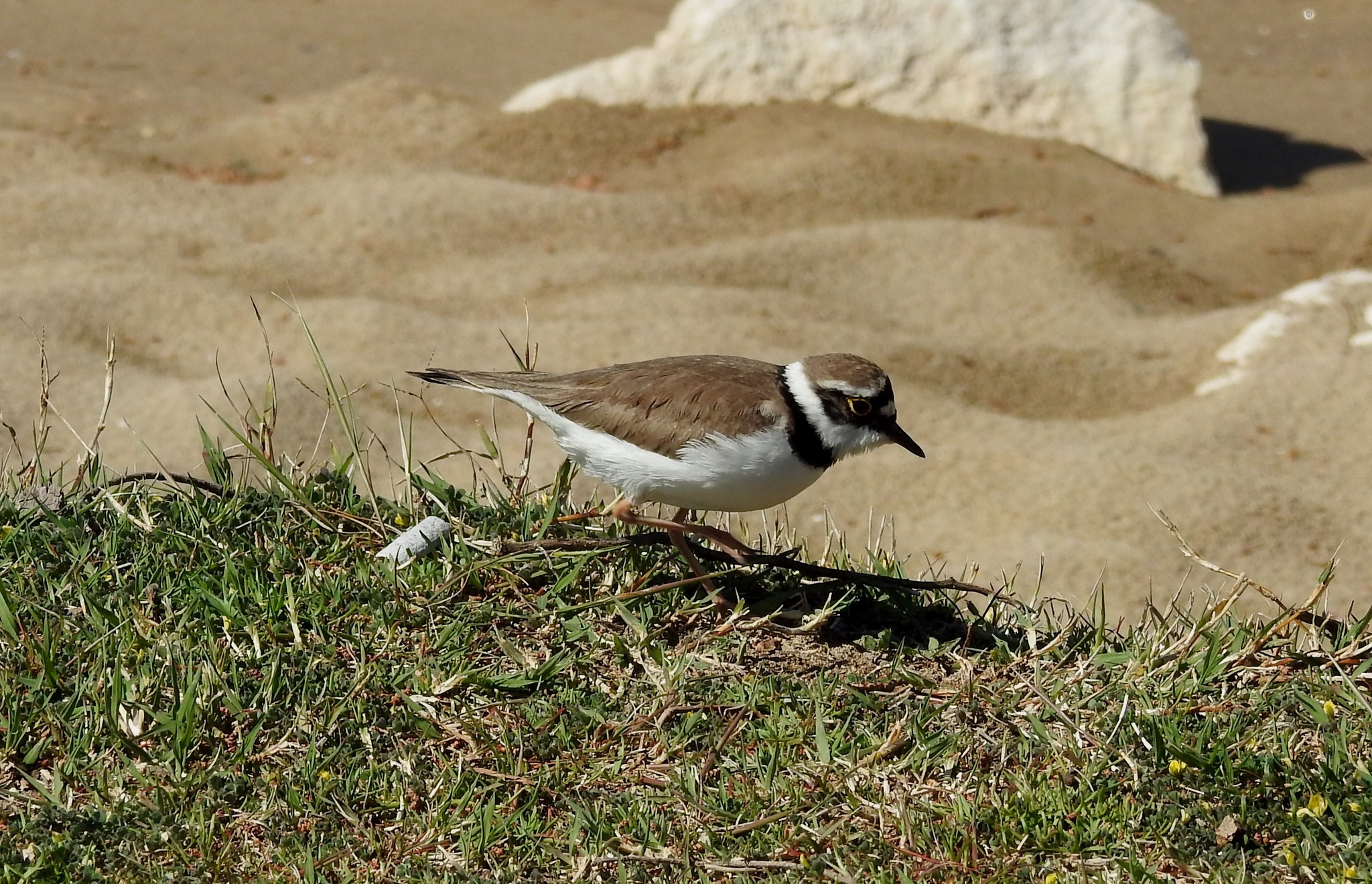 382729050_653564803587988_4839707431705586389_n