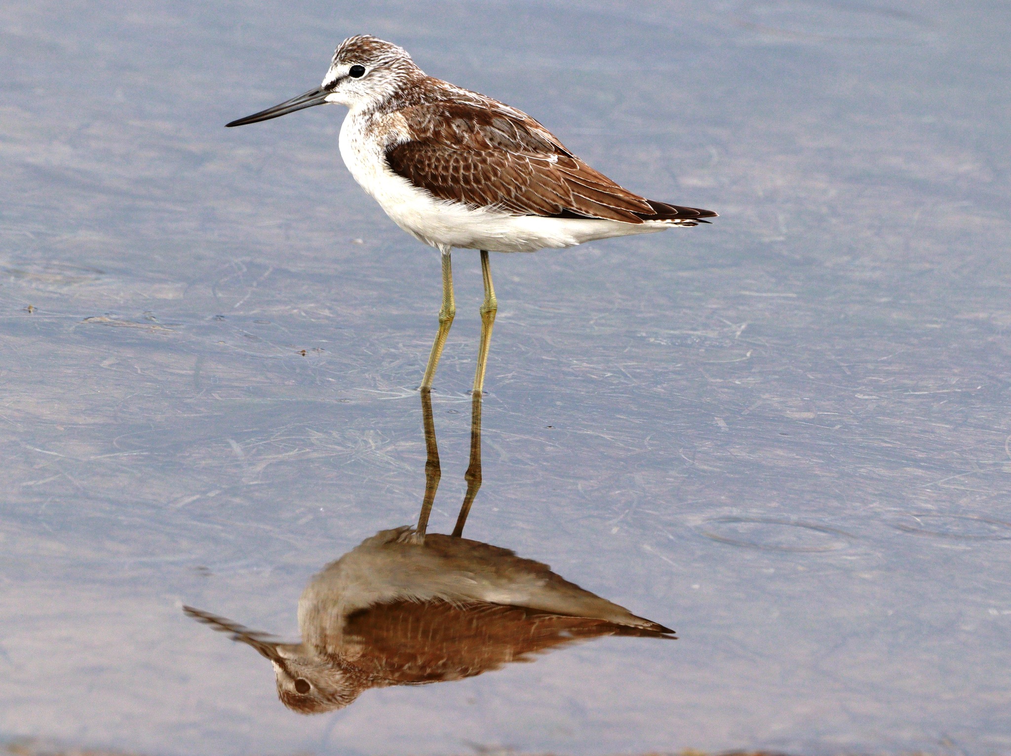 382753807_653572343587234_2497411906607563138_n