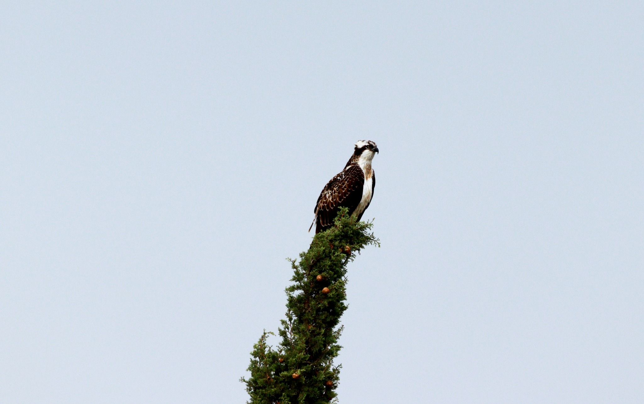 382753955_653569666920835_5995960249716654934_n