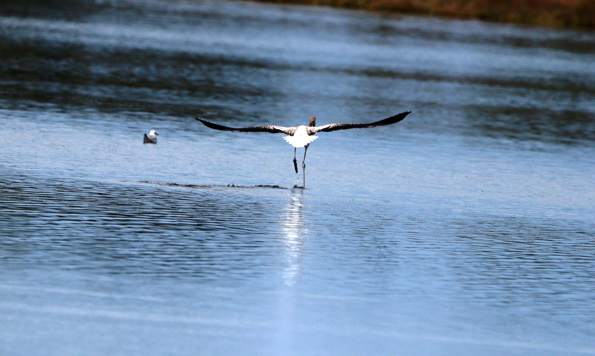 382772419_653571510253984_3873335231433214569_n