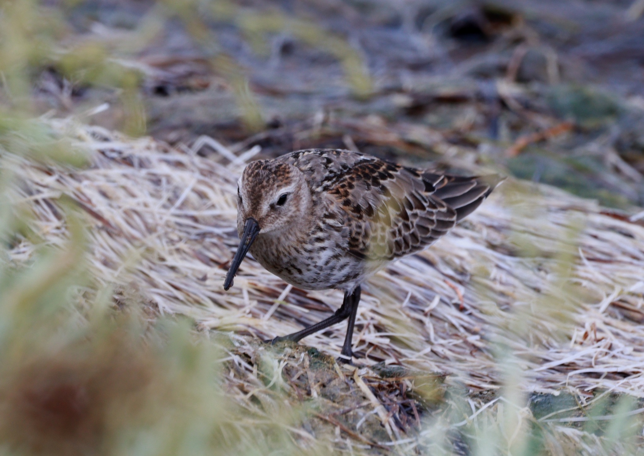 382789816_653573060253829_5915464857400047417_n