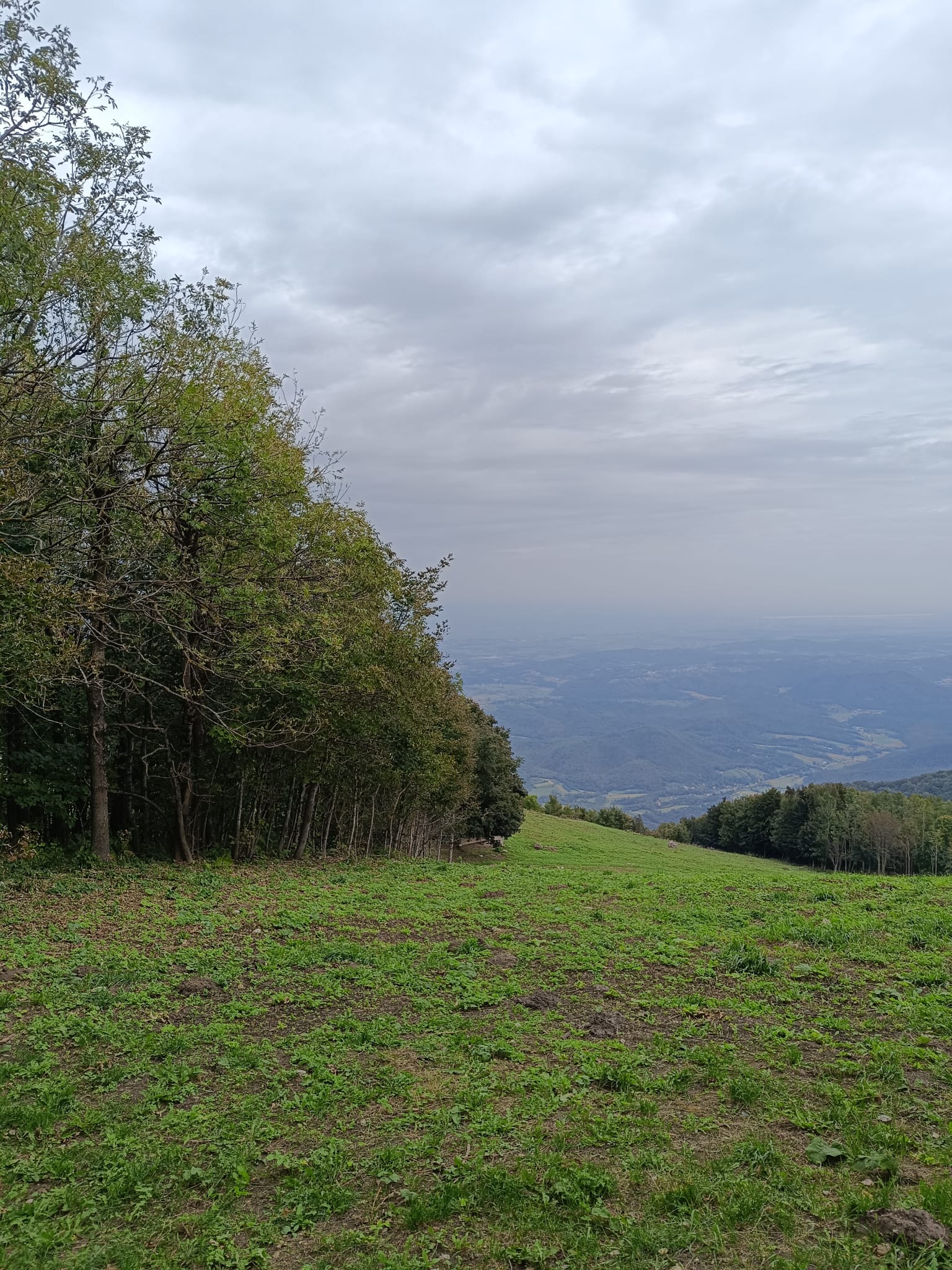 IMG-20231003-WA0087