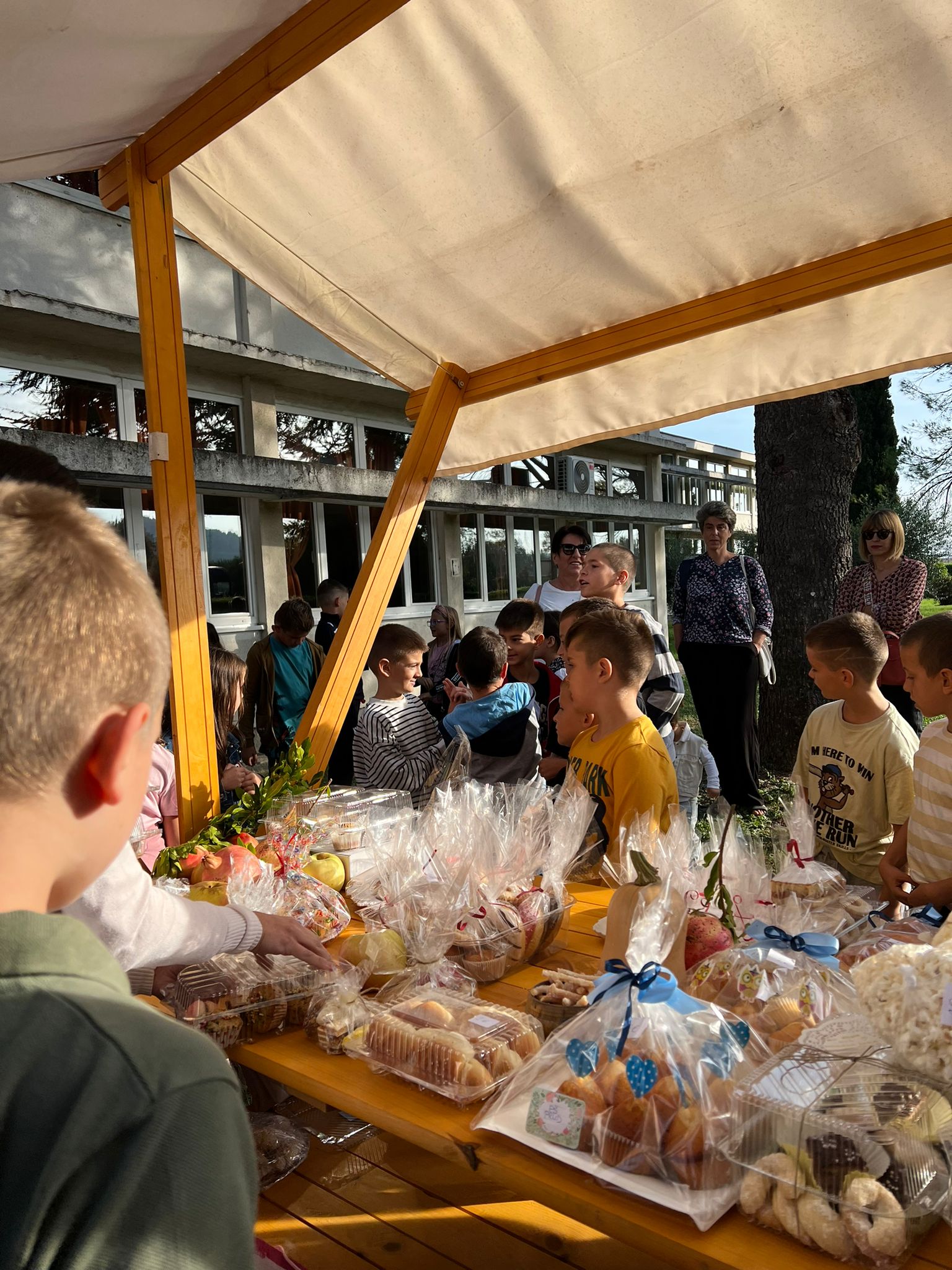IMG-20231013-WA0003