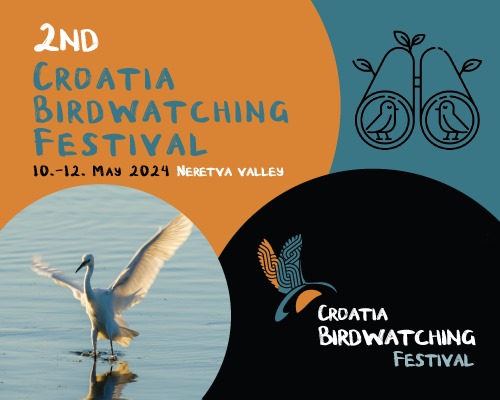 WhatsApp Image 2023-11-20 at 16