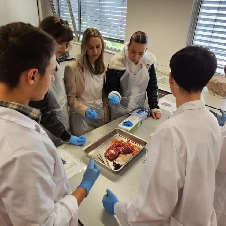 FB_IMG_1709883808699