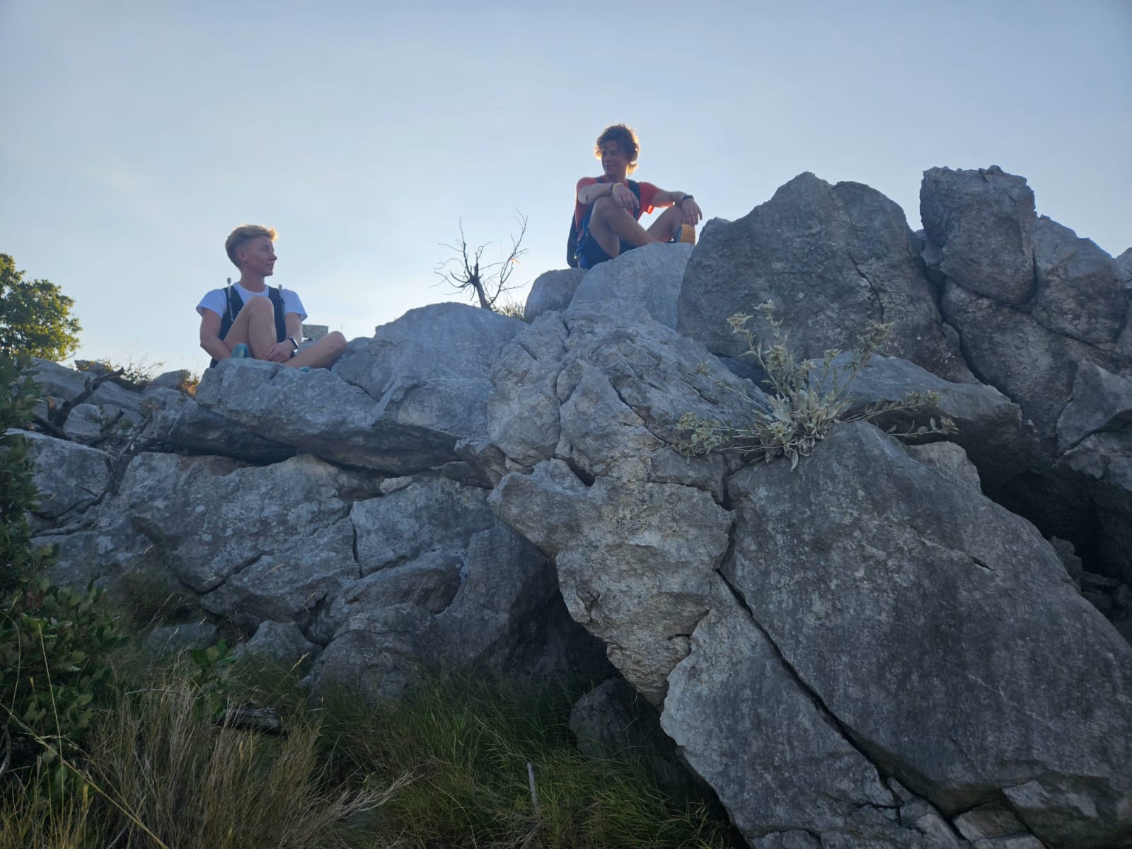 IMG-20240728-WA0021