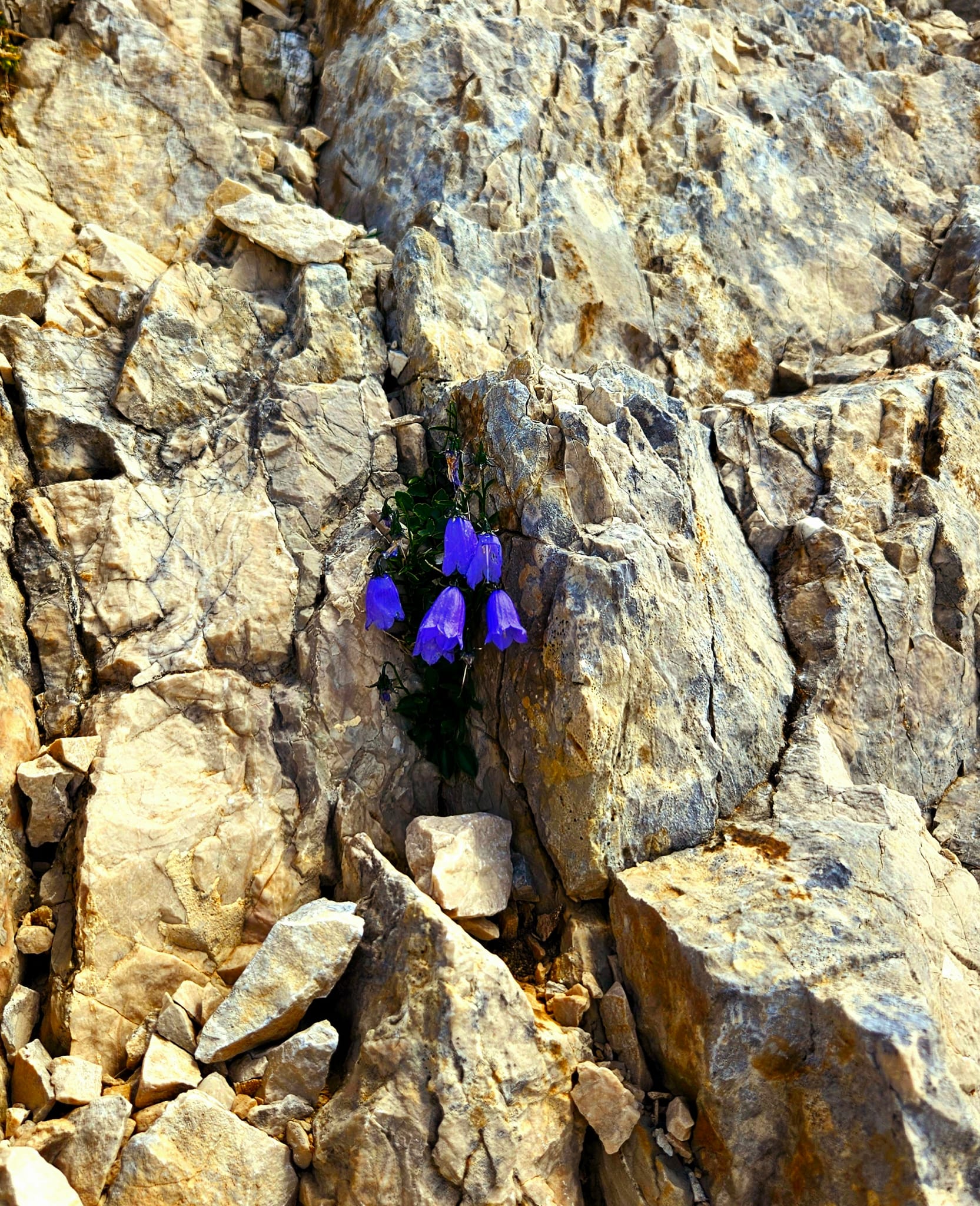 IMG-20240820-WA0012