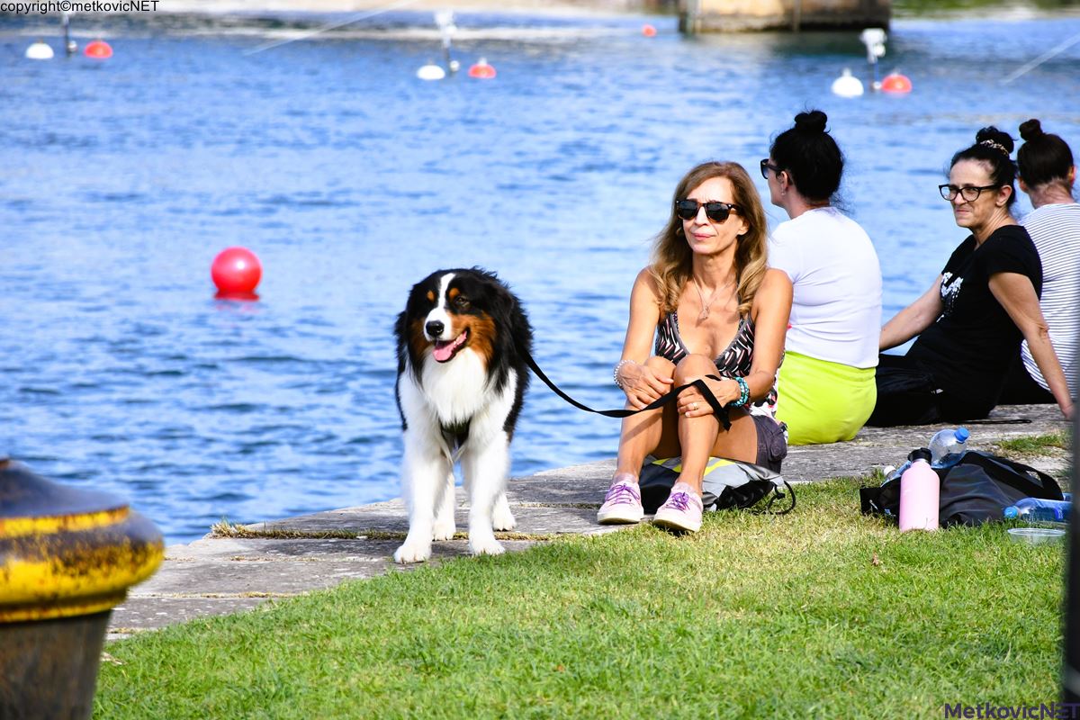 DSC_4088